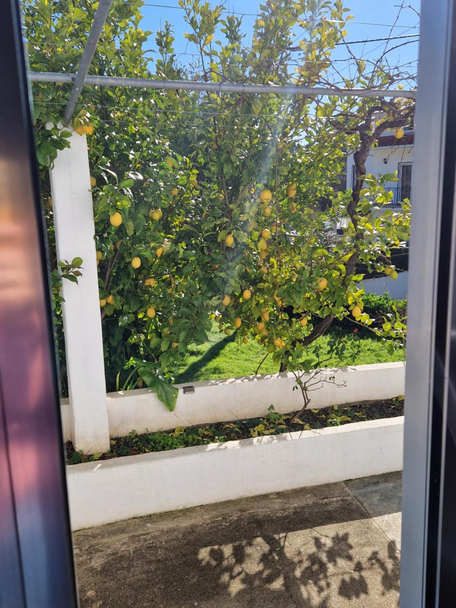 Villa Casa Dos Martelitos Salgueira  Exterior foto